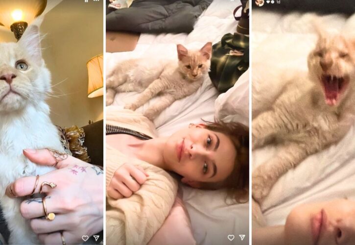 Paris Jackson Adds a Maine Coon Kitty to Her Fur Family