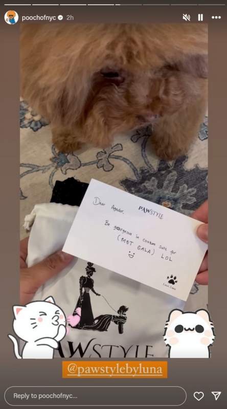Pooch of NYC Pawstyle Met Gala invitation