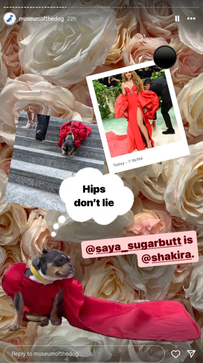 Saya Sugarbutt dressed as Shakira at the 2024 Pet Gala