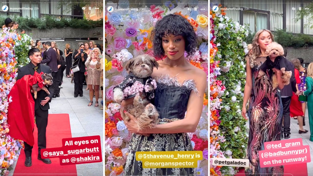The Pet Gala Dogs Wearing Recreations of Celebrity Outfits From the 2024 Met Gala