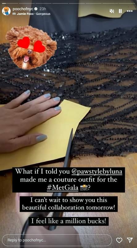 The making of Pooch of NYC Met Gala outfit by Pawstyle