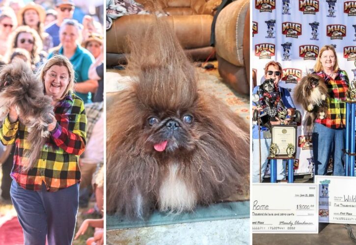 After 5 Attempts, Wild Thang Finally Wins the ‘World’s Ugliest Dog’ Contest