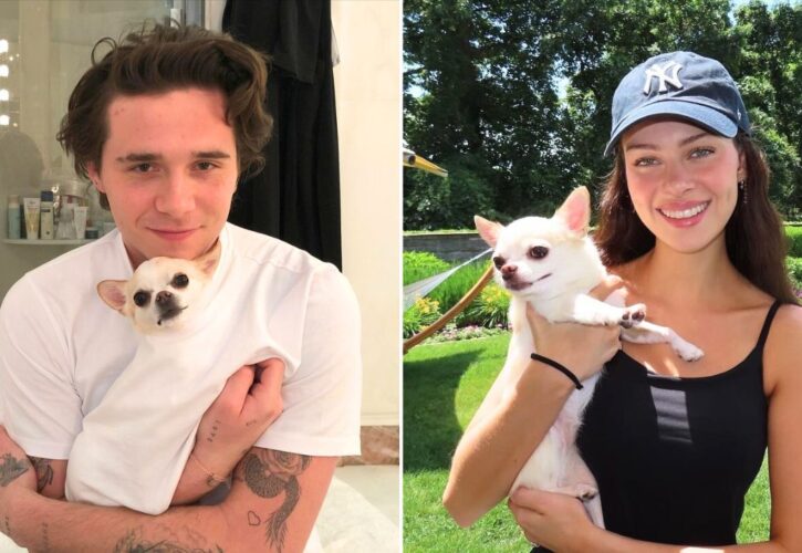 Brooklyn Beckham and Nicola Peltz Share Their Rescue Dog Suddenly Died After Groomer Visit