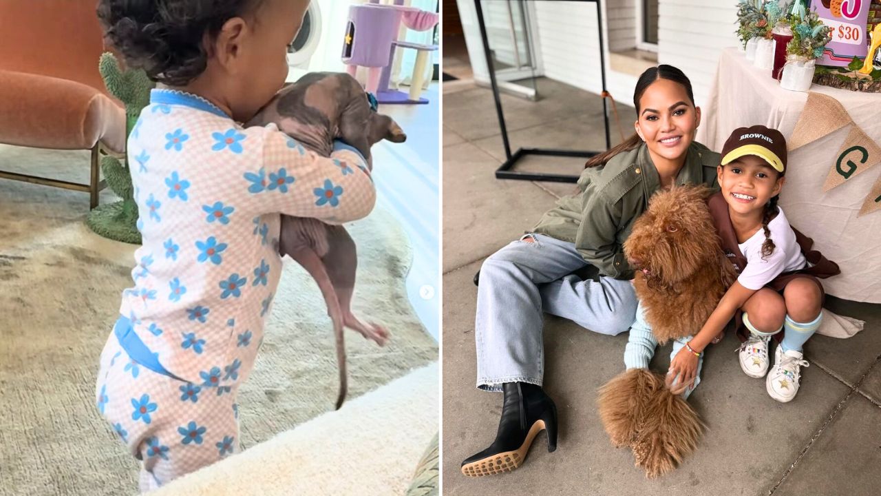 Chrissy Teigen Surprises Fans With New Sphynx Kitty