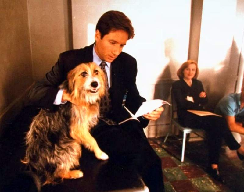 David Duchovny with dog Blue on the X-Files set