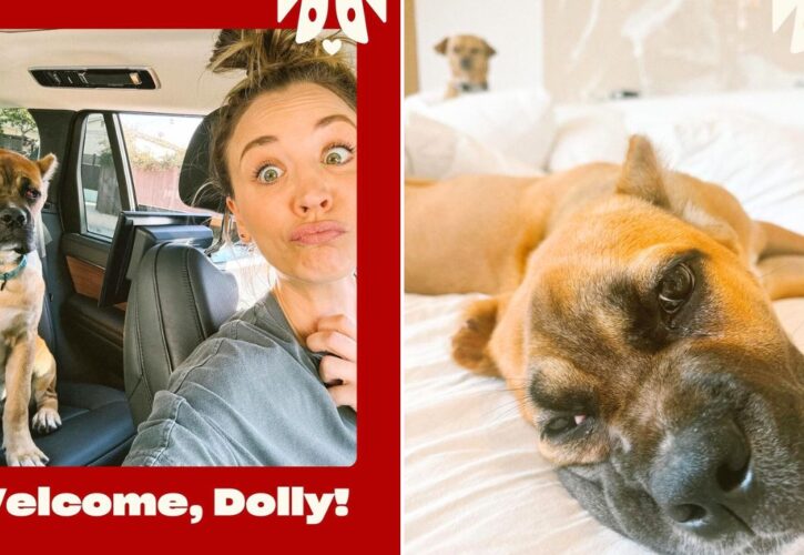 Kaley Cuoco Adds Another Rescue Dog to Her Pack With Dolly the Cane Corso Mix