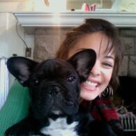 Kristin Kreuk's pet Pug