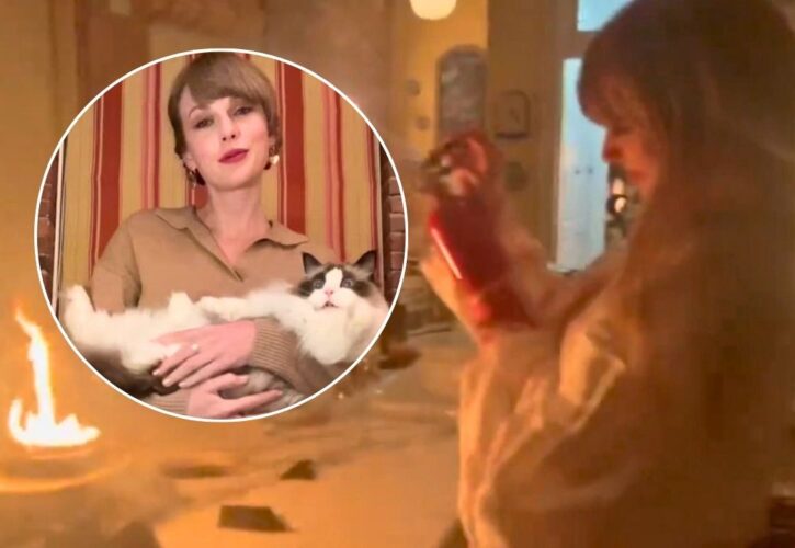 Taylor Swift Almost Burns Down Her Kitchen (And Her Cat Is Not Impressed)