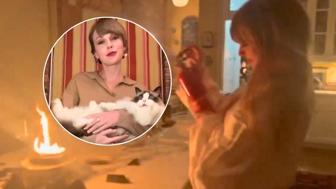 Taylor Swift Almost Burns Down Her Kitchen And Her Cat Is Not Impressed