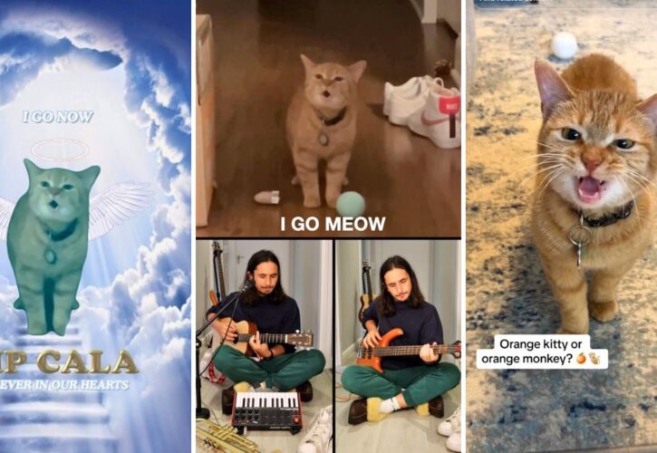 Cala the Viral ‘I Go Meow’ Singing Kitty Passed Away and Her Musical Partner Pays Tribute