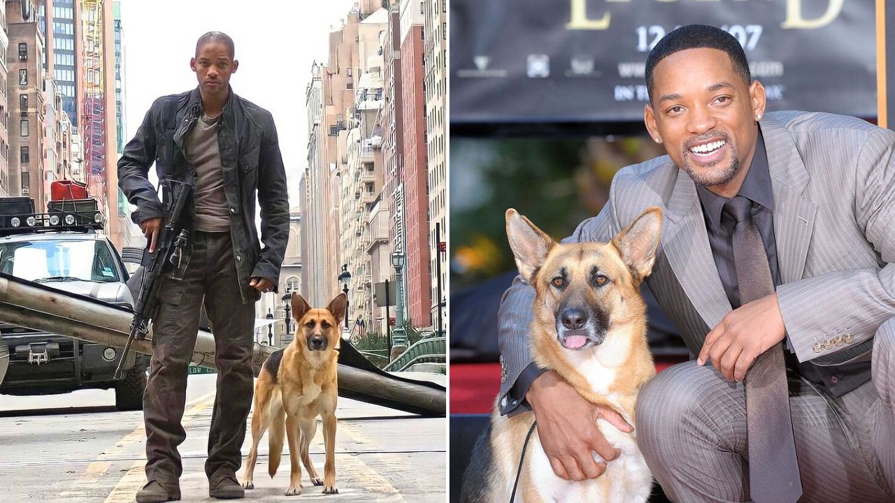 Will Smith Tells the Story Trying to Adopt Abbey the Dog, His Brilliant Actress Costar From I Am Legend