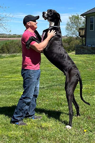 World's tallest dog Kevin with his owner