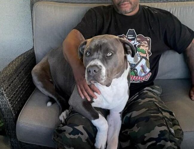 Xzibit Pets