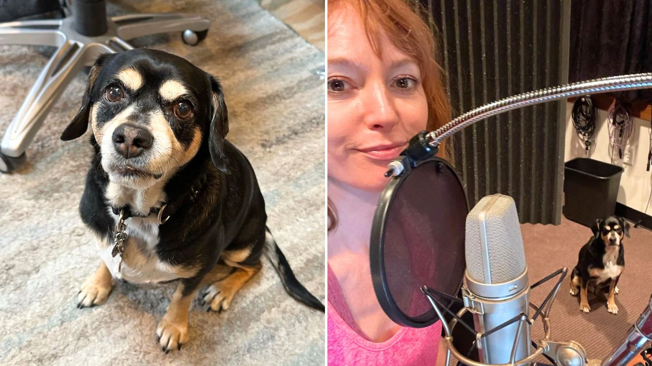 Alicia Witt praises her rescue dog for helping her on stage and behind the scenes