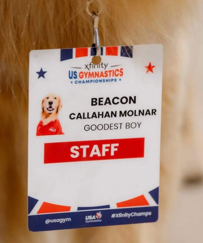 Beacon USA Gymnastics therapy dog staff ID