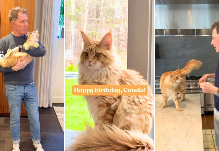 Bobby Flay Celebrates the 1st Birthday of Canelo, His Magnificent Maine Coon Kitty
