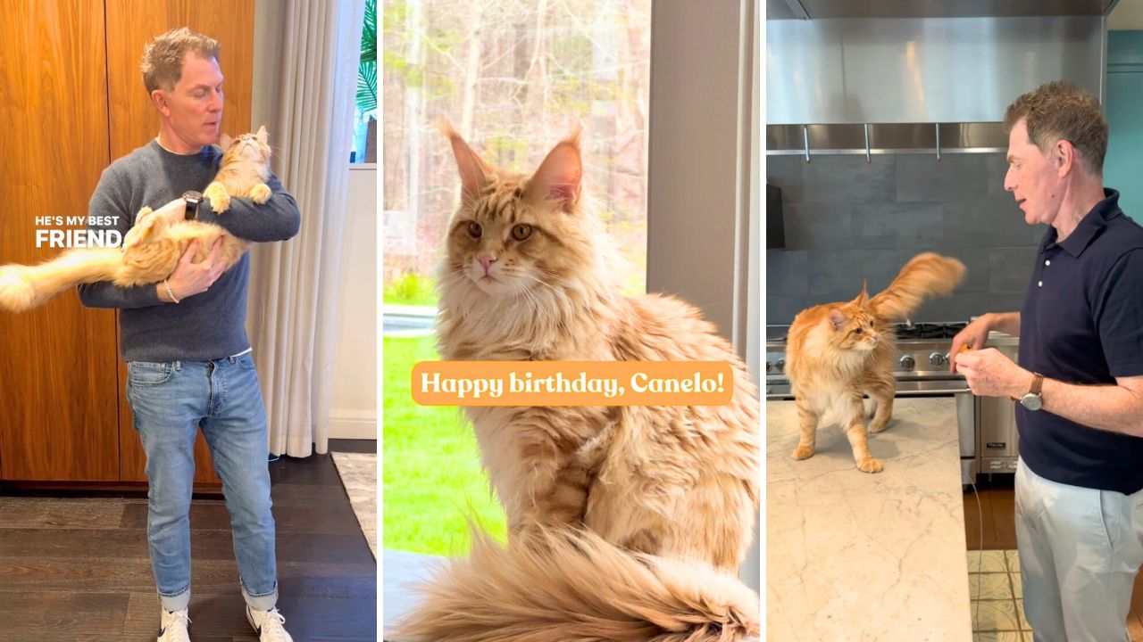 Bobby Flay celebrates the birthday of his cat Canelo