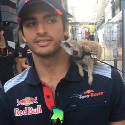 Carlos Sainz Jr. Pets