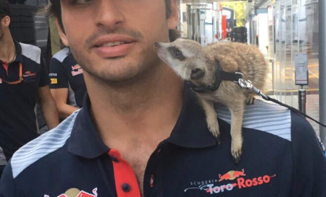 Carlos Sainz Jr. Pets