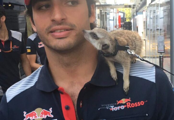 Carlos Sainz Jr. Pets