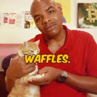 Davinci Jeremie's pet Waffles