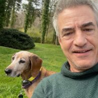 Dermot Mulroney's pet Annie