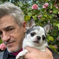 Dermot Mulroney's pet Posie