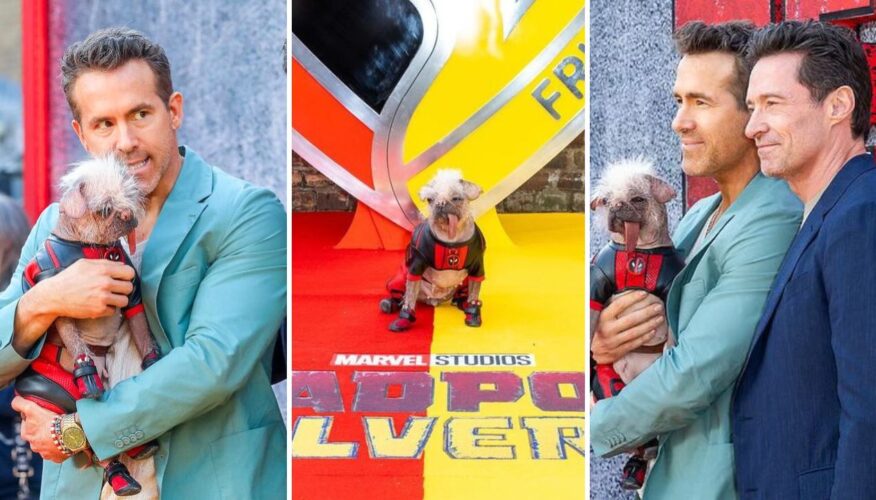 Dogpool Hits the Red Carpet With Ryan Reynolds and Huge Jackman for ‘Deadpool & Wolverine’