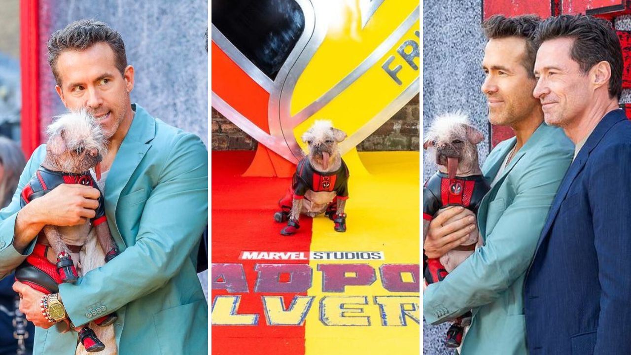 Dogpool Hits the Red Carpet With Ryan Reynolds and Huge Jackman for Deadpool & Wolverine