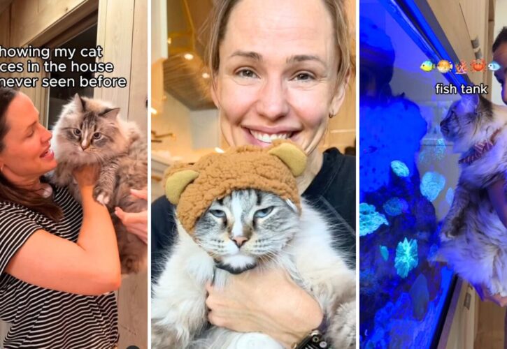 Jennifer Garner Does the ‘Showing My Cat Places in the House He’s Never Seen Before’ Tour