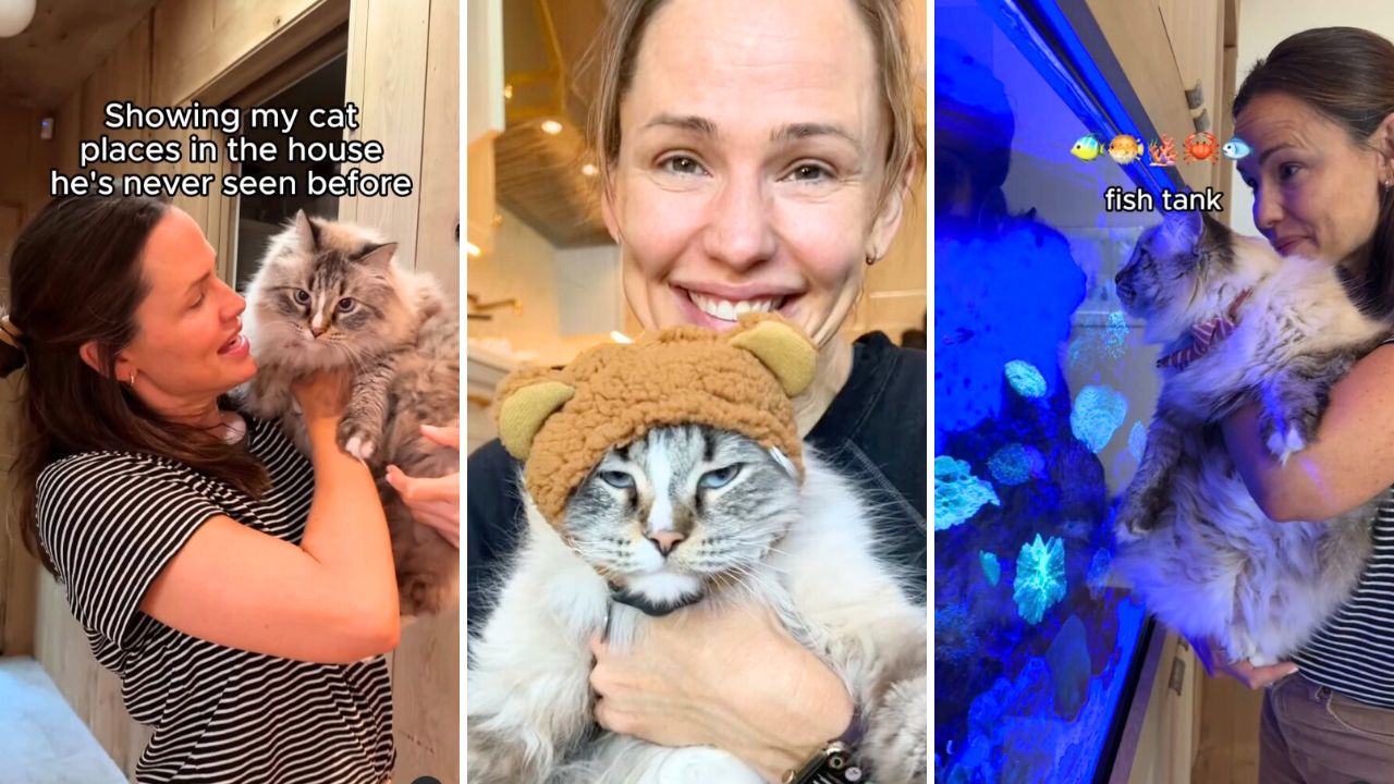 Jennifer Garner Does the Showing My Cat Places in the House He’s Never Seen Before Tour