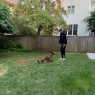 Kyle Kuzma's pet Duke Nukem