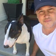 Lochlyn Munro's pet Rocco