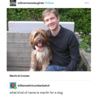 Martin Freeman's pet Cracker (Charlie from 'The Dog with the Woman')