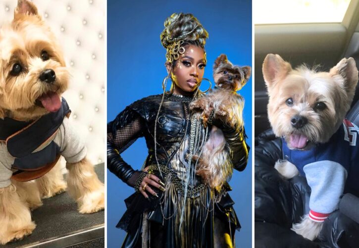 Missy Elliott Admits She Postponed Her Tour to Care for Her Dying 17-Year-Old Dog