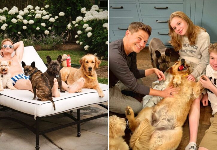 Neil Patrick Harris Posts Touching Tribute to His Golden Retriever Who Died in an Accident