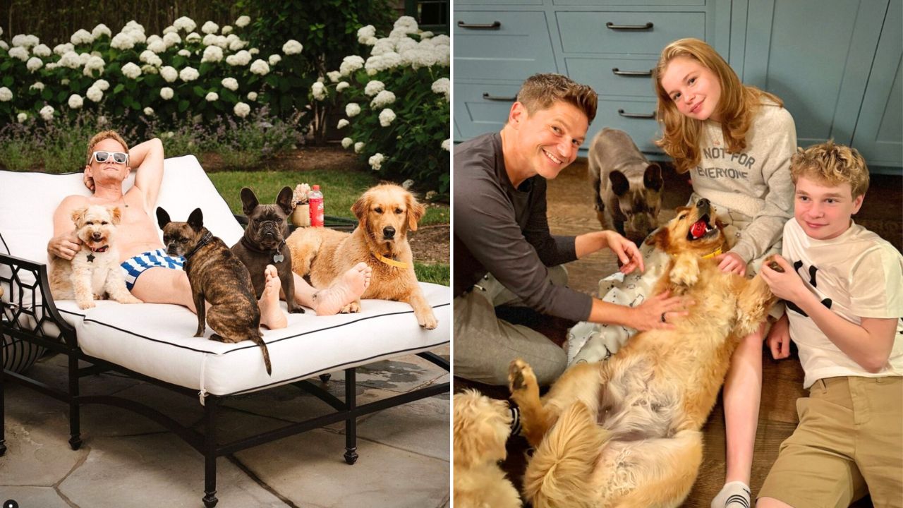 Neil Patrick Harris Posts Tribute to His Golden Retriever Ella Who Died in an Accident