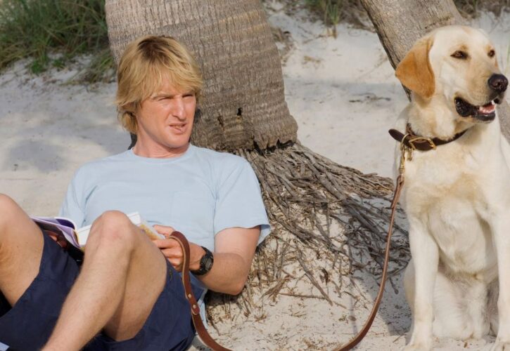 Owen Wilson Spotted Taking His ‘Marley and Me’ Look-Alike Dog to the Beach