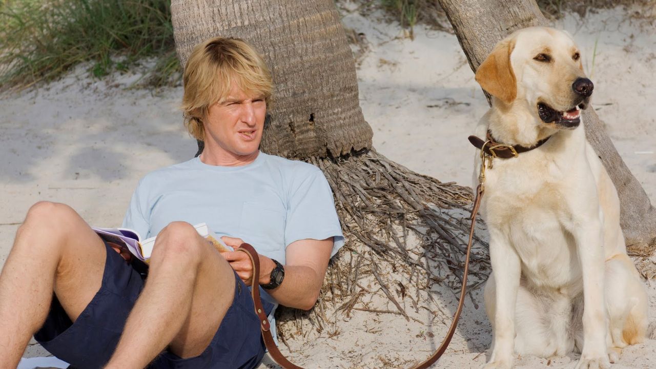 Owen Wilson Spotted Taking His Marley and Me Look-Alike Dog to the Beach