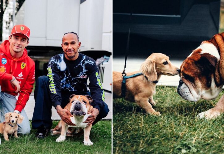 Roscoe Hamilton and Leo Leclerc - The Two Biggest Dogs in Formula 1 Finally Meet!
