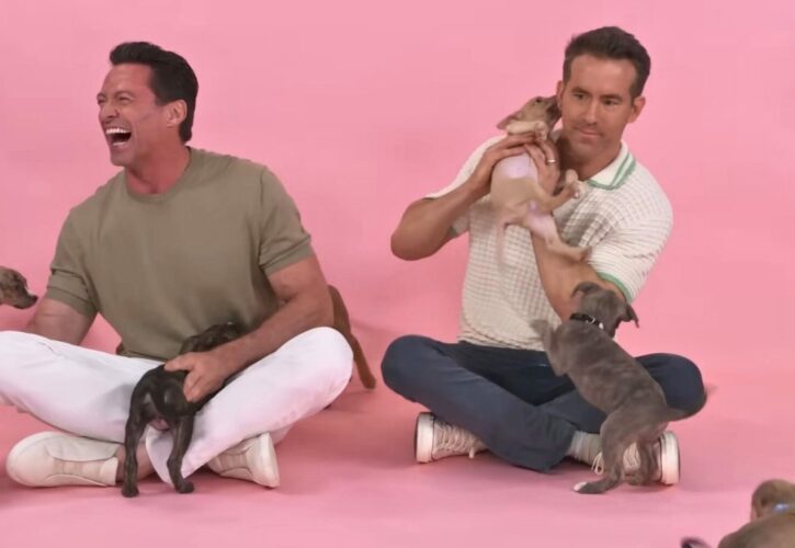 Ryan Reynolds and Hugh Jackman Laugh It Up in Interview With Adoptable Puppies