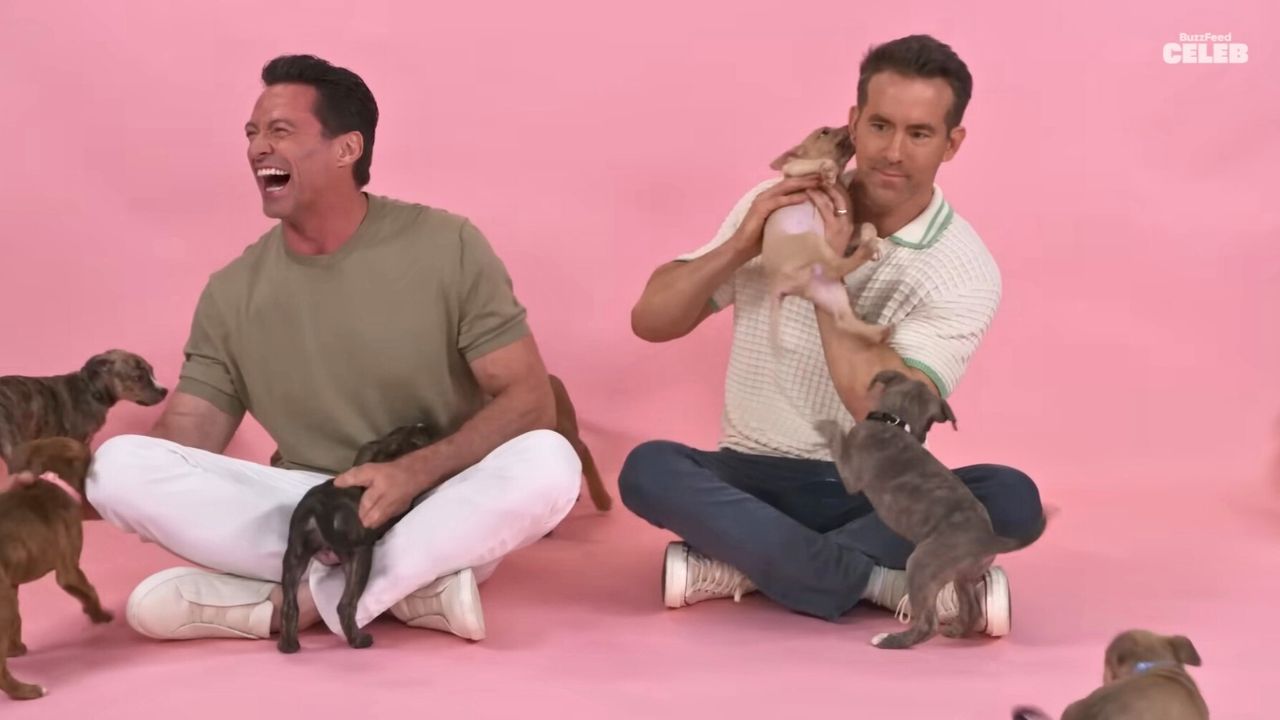 Ryan Reynolds and Hugh Jackman Laugh It Up in Interview With Adoptable Puppies