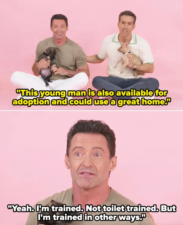 Ryan Reynolds and Hugh Jackman buzzfeed puppy interview 2