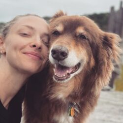 Amanda Seyfried Pets