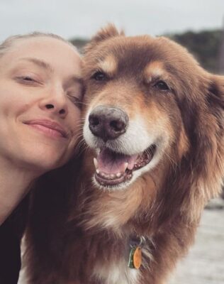 Amanda Seyfried Pets