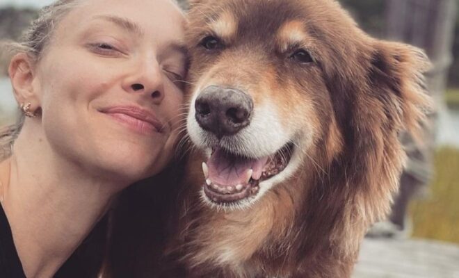 Amanda Seyfried Pets