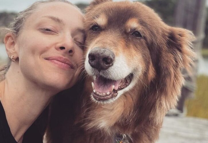 Amanda Seyfried Pets