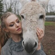 Amanda Seyfried's pet Gus