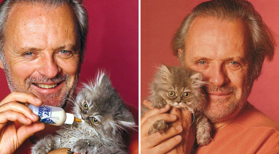 Anthony Hopkins Celebrates International Cat Day With a Rescue Kitten