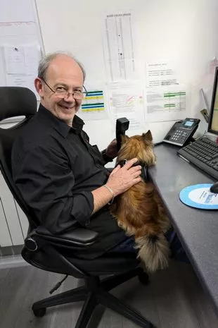 Benji the chihuahua at the Inverness Taxis office